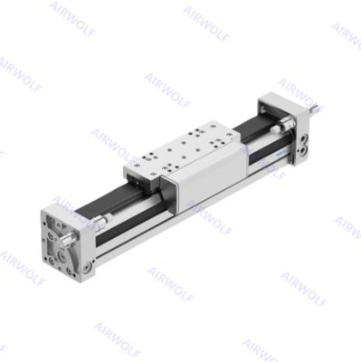 Festo DGC Series Rodless Pneumatic Cylinder Linear Drives