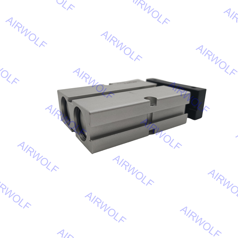 TN20X10S TN20X20S TN20X30S TN20X40S TN Series AirTAC Double Acting Twin-rod Cylinder