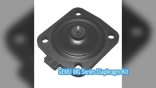GEMU MG8 MG10 MG25 MG40 MG50 MG65 MG80 MG100 EPDM FDA مجموعات الحجاب الحاجز لصمامات الحجاب الحاجز GEMU